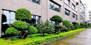 北辰城市绿化带种植什么植物比较好